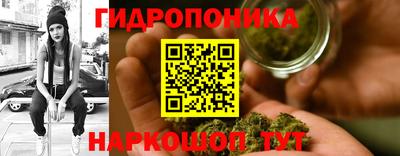 каннабис Аргун