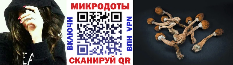Псилоцибиновые грибы MAGIC MUSHROOMS  Тверь 