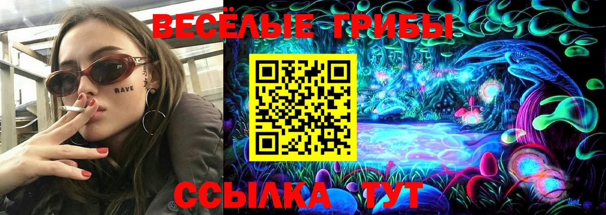 магазин продажи наркотиков  Псилоцибиновые грибы мухоморы  Вход с VPN  Тверь 